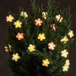 Batteriebetriebene LED‑Mikro‑Blumenlichterkette mit 20 Lichtern in Warmweiß