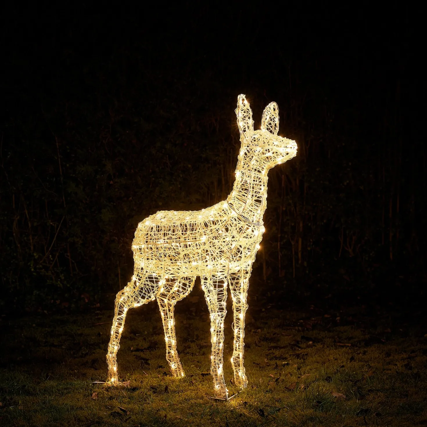 Bicolor LED-Rentier Hirschkuh L Swinsty