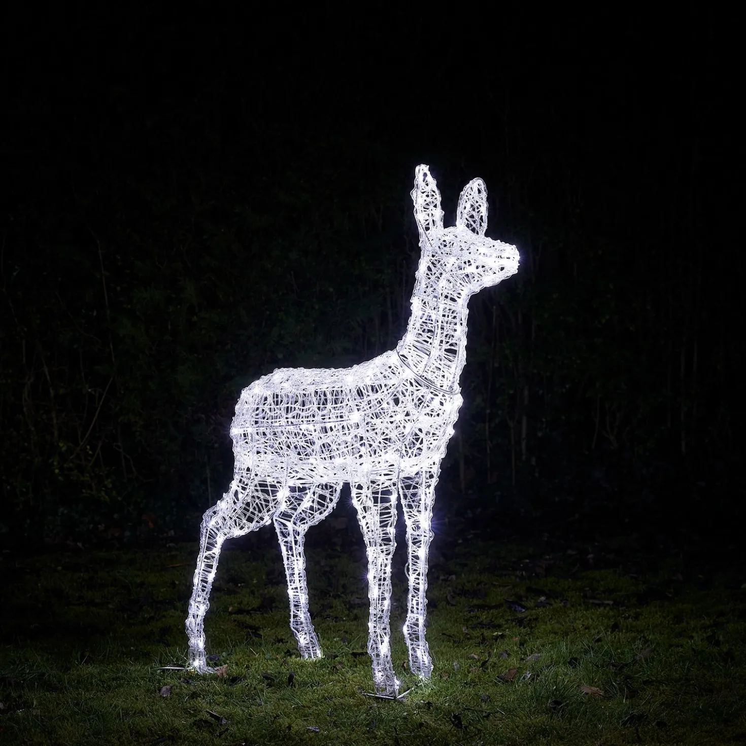 Bicolor LED-Rentier Hirschkuh L Swinsty