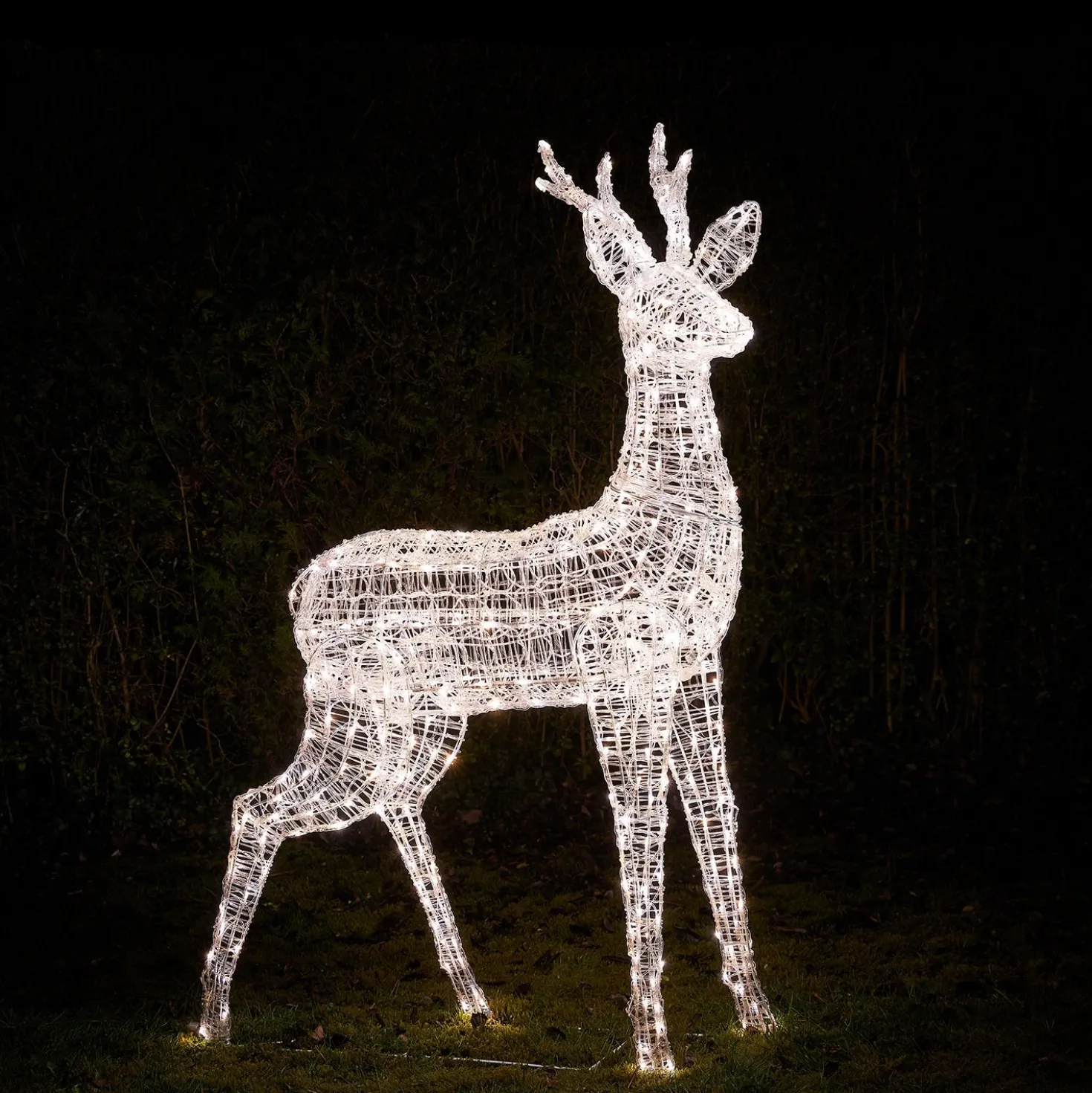Bicolor LED-Rentier Hirsch XL Swinsty