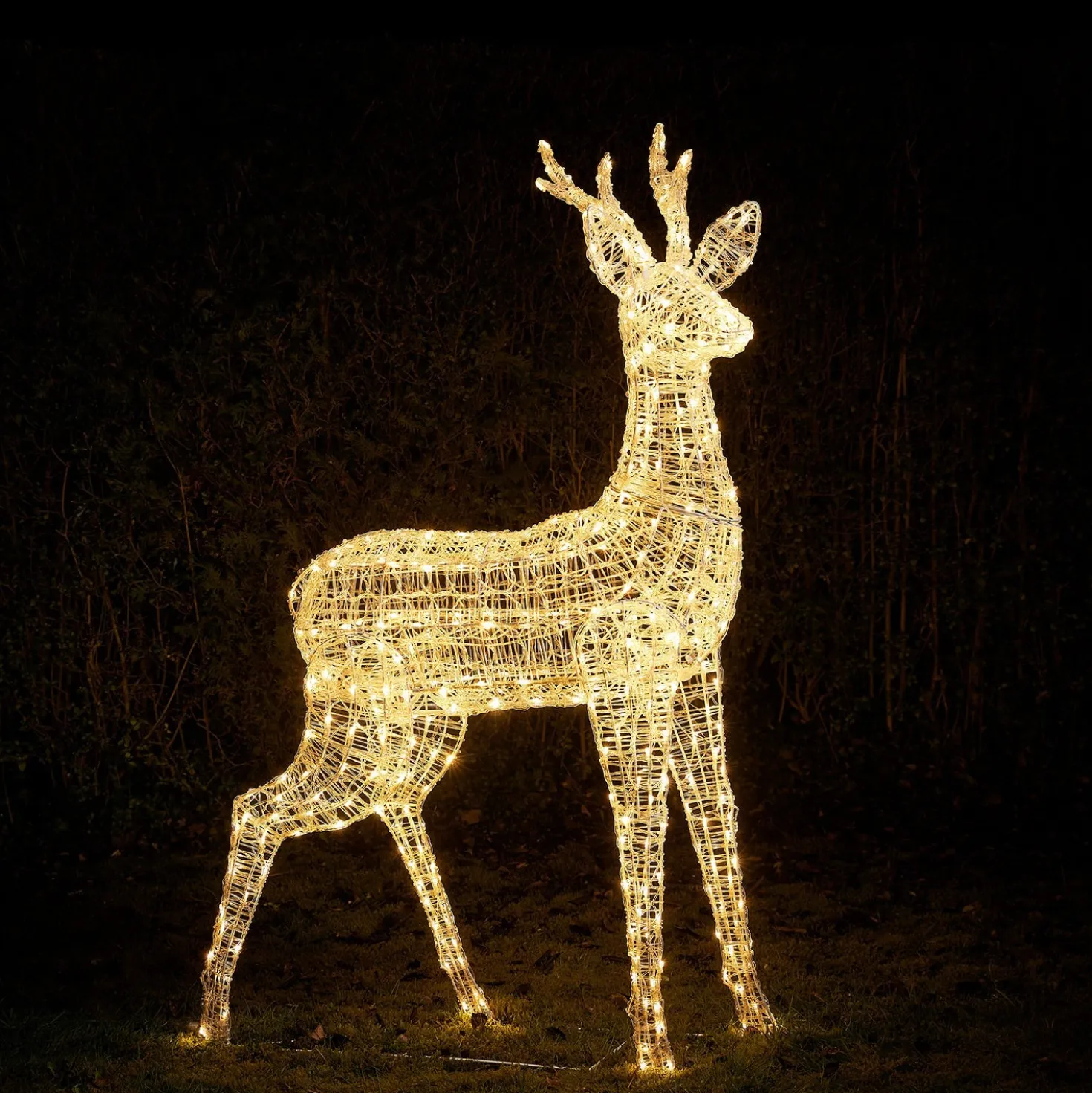Bicolor LED-Rentier Hirsch XL Swinsty