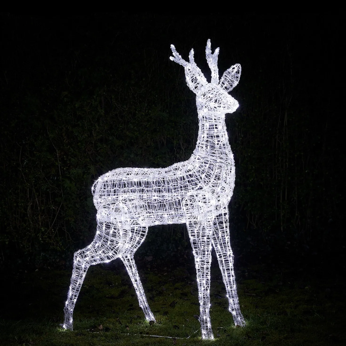 Bicolor LED-Rentier Hirsch XL Swinsty