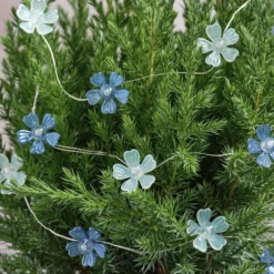 Blaue & weiße Mikro-LED-Blumenlichterkette Warmweiß mit Timer