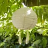20cm Lucena Solar Lampion crème