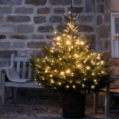 Core Connect 80m 800er LED Lichterkette warmweiß koppelbar grünes Kabel