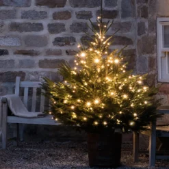Core Connect 30m 300er LED Lichterkette warmweiß koppelbar grünes Kabel