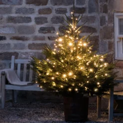 Core Connect 50m 500er LED Lichterkette warmweiß koppelbar grünes Kabel