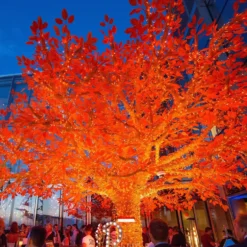 Core Connect 80m 800er LED Lichterkette orange koppelbar transparentes Kabel