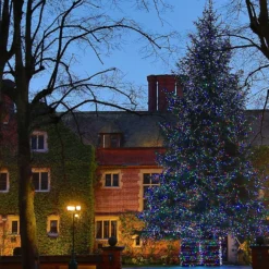 Core Connect 20m 200er LED Lichterkette bunt koppelbar grünes Kabel