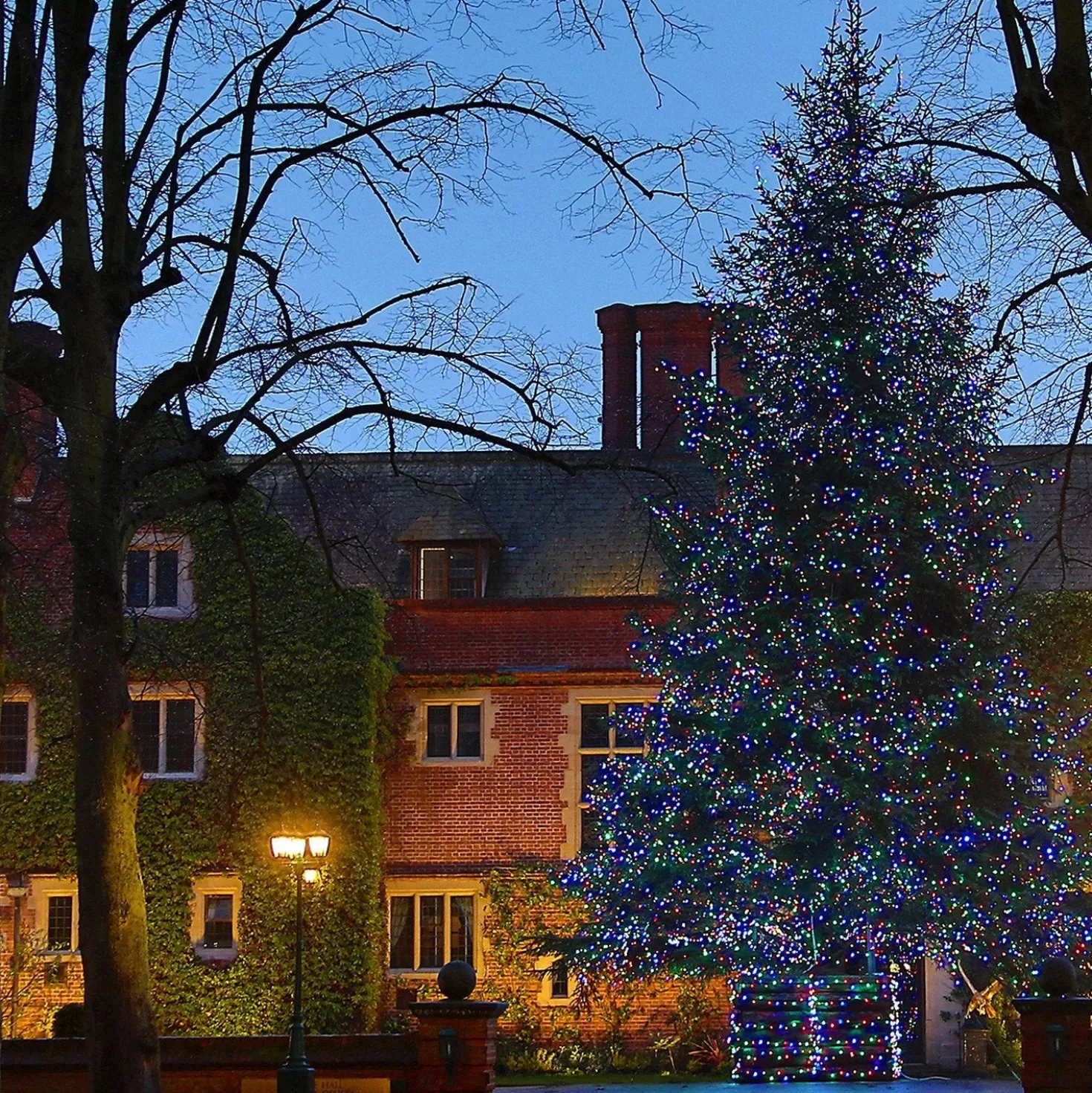Core Connect 40m 400er LED Lichterkette bunt koppelbar grünes Kabel