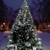Core Connect 10m x 2m 700er LED Lichternetz weiß koppelbar grünes Kabel