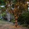 200er LED Batterie Außenlichterkette warmweiß transparentes Kabel