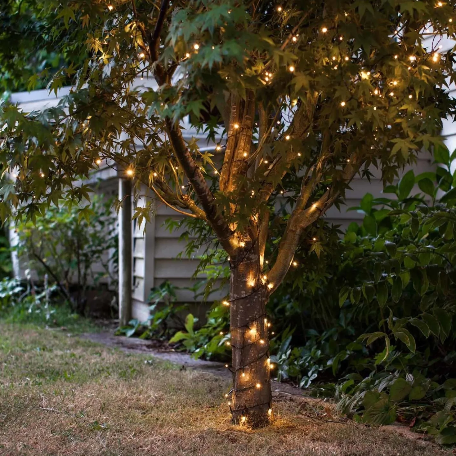 100er LED Batterie Lichterkette Außen warmweiß grünes Kabel