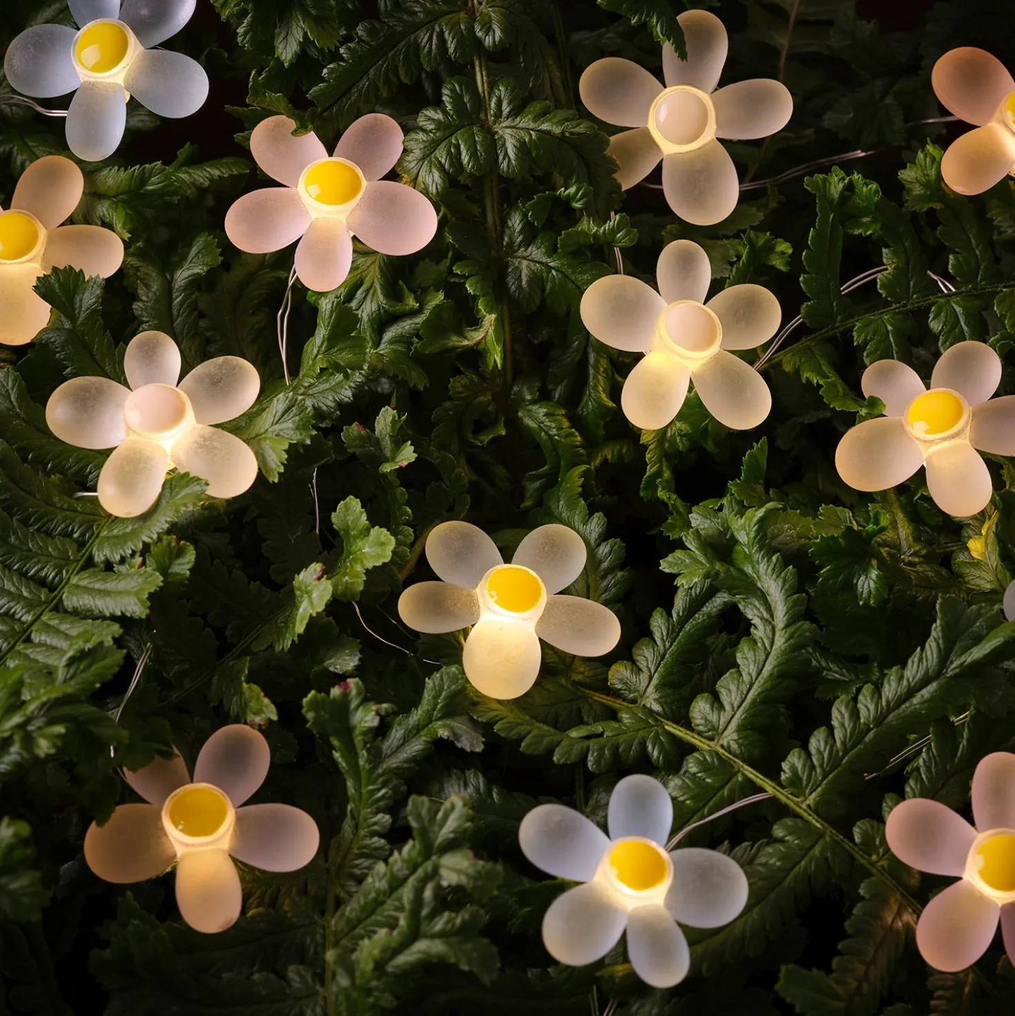 20er LED Micro Lichterkette außen Gänseblümchen
