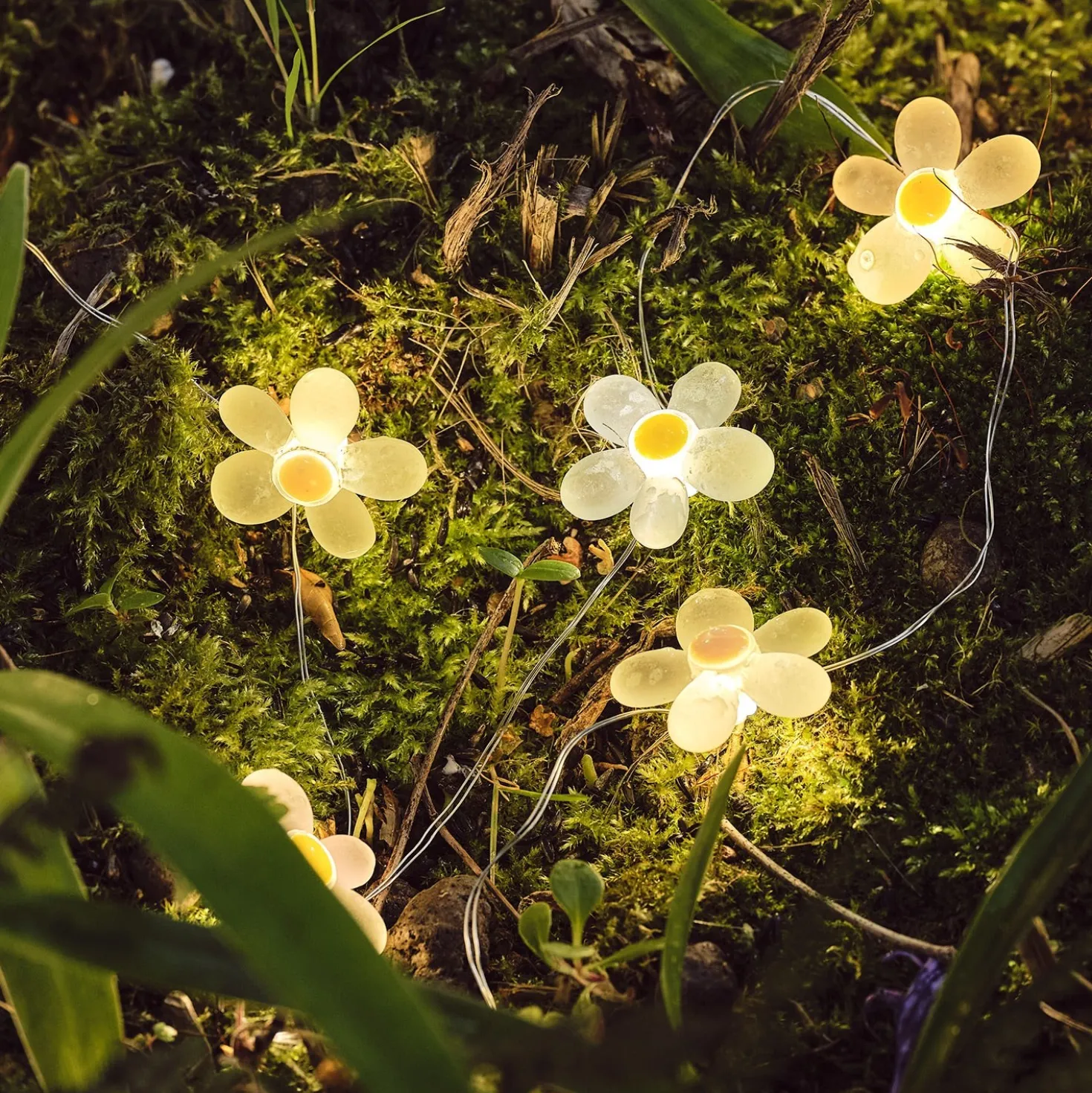 20er LED Micro Lichterkette außen Gänseblümchen