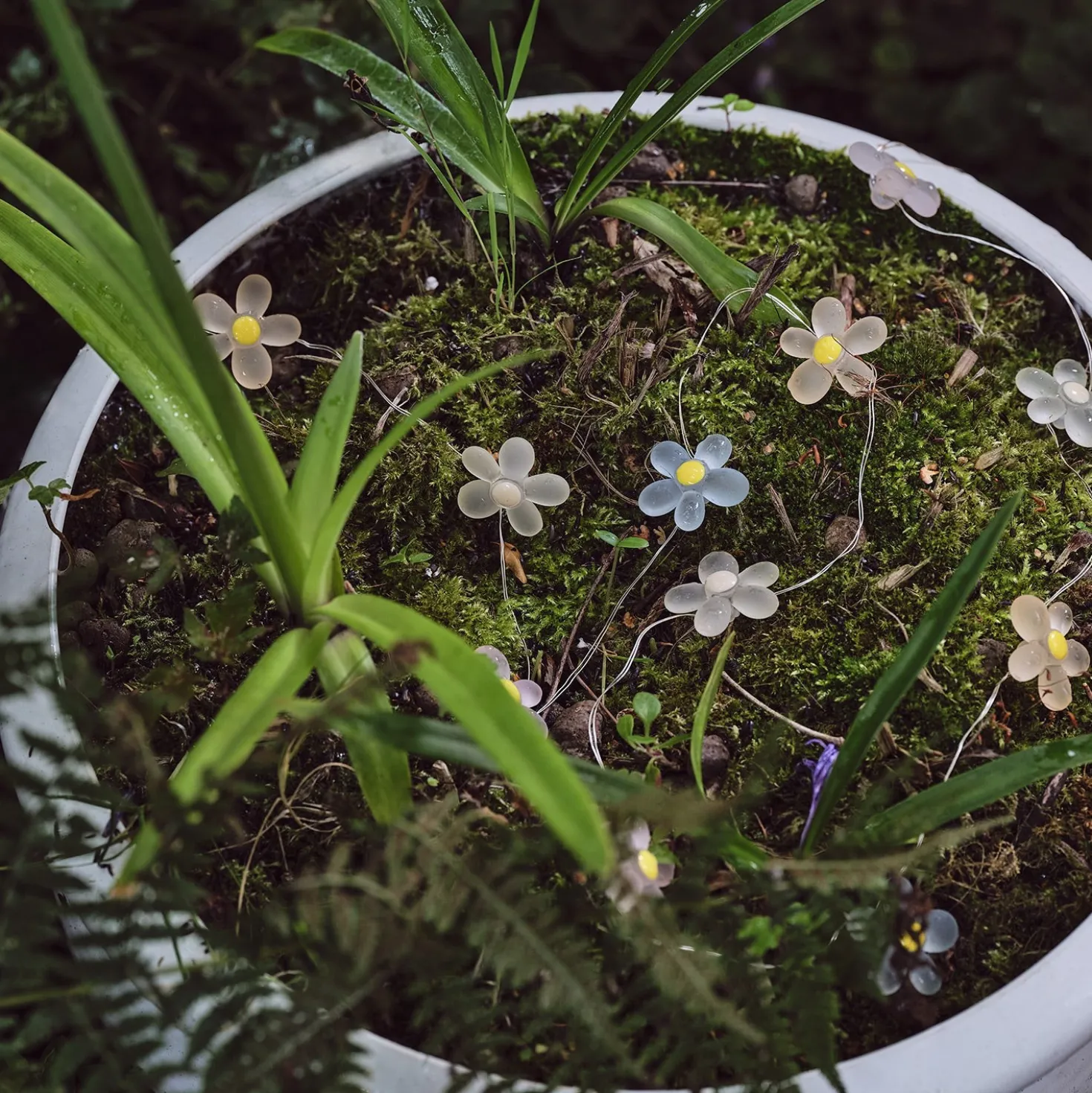 20er LED Micro Lichterkette außen Gänseblümchen