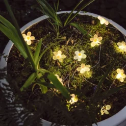 20er LED Micro Lichterkette außen Gänseblümchen