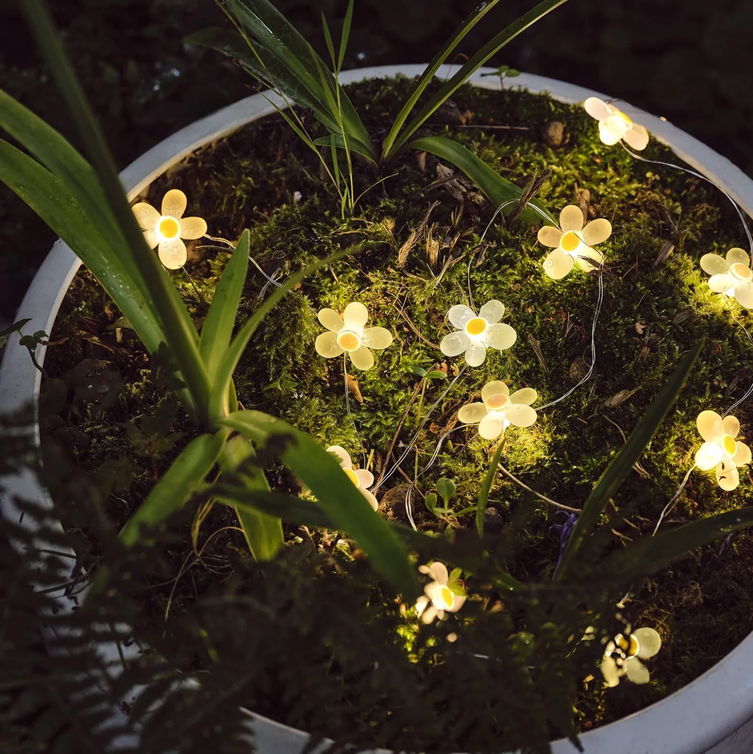 20er LED Micro Lichterkette außen Gänseblümchen