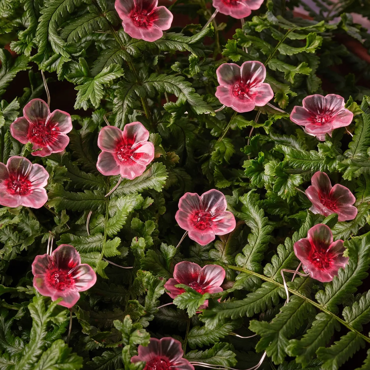 20er LED Micro Lichterkette außen pinke Kirschblüten