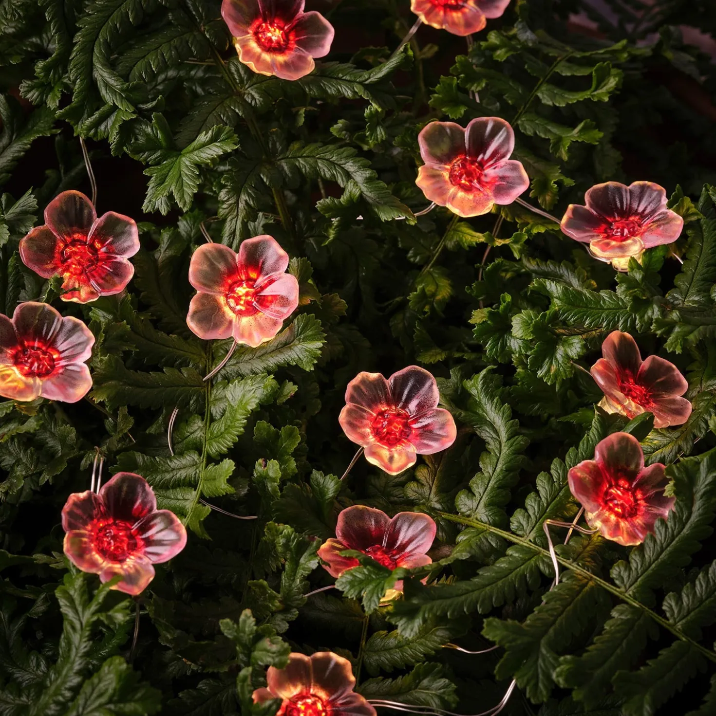 20er LED Micro Lichterkette außen pinke Kirschblüten