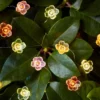20er Micro Lichterkette außen bunte Rosen