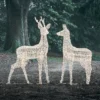 2er Set Bicolor LED-Rentiere Hirsch & Hirschkuh XL Swinsty