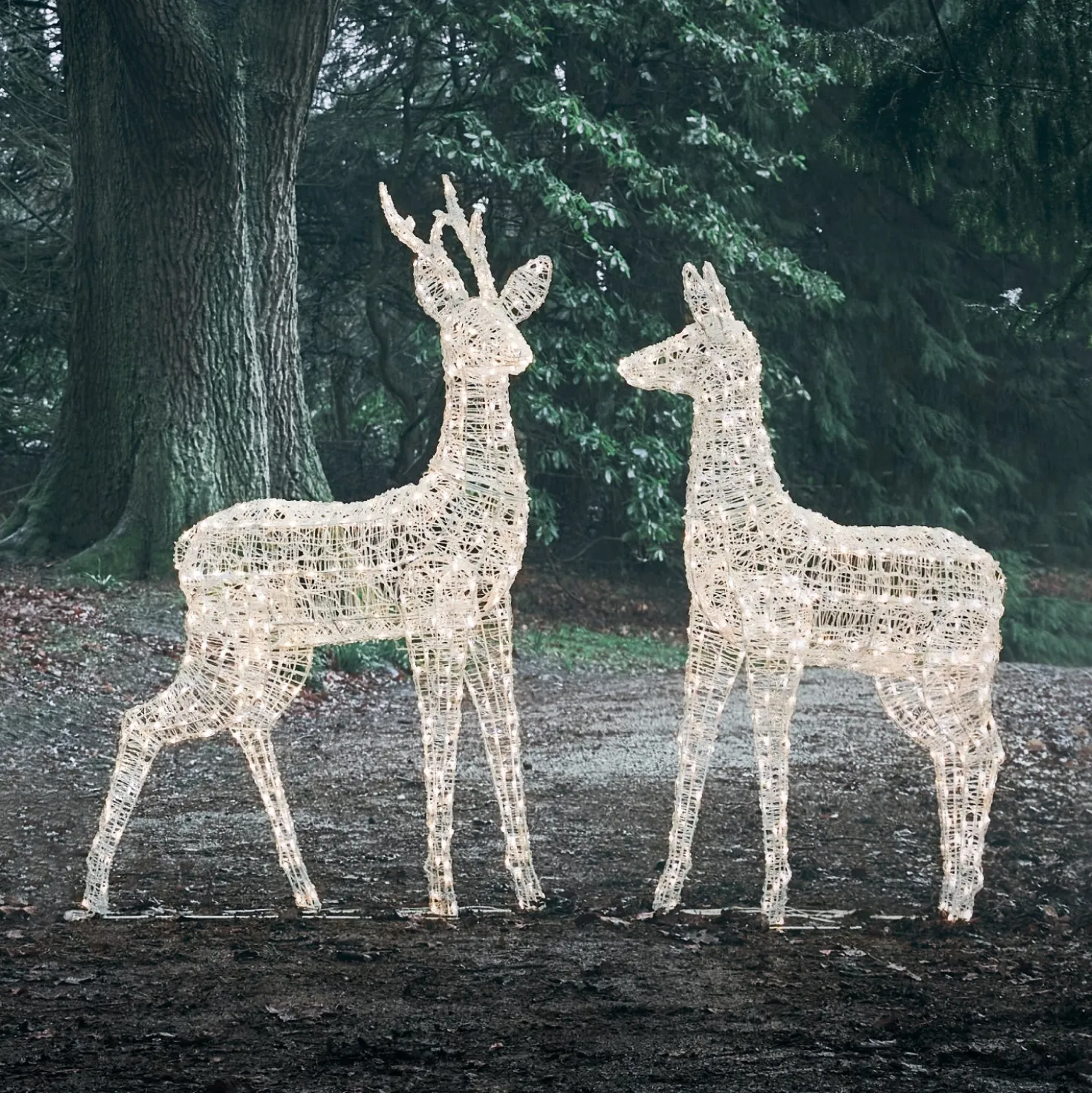 2er Set Bicolor LED-Rentiere Hirsch & Hirschkuh XL Swinsty