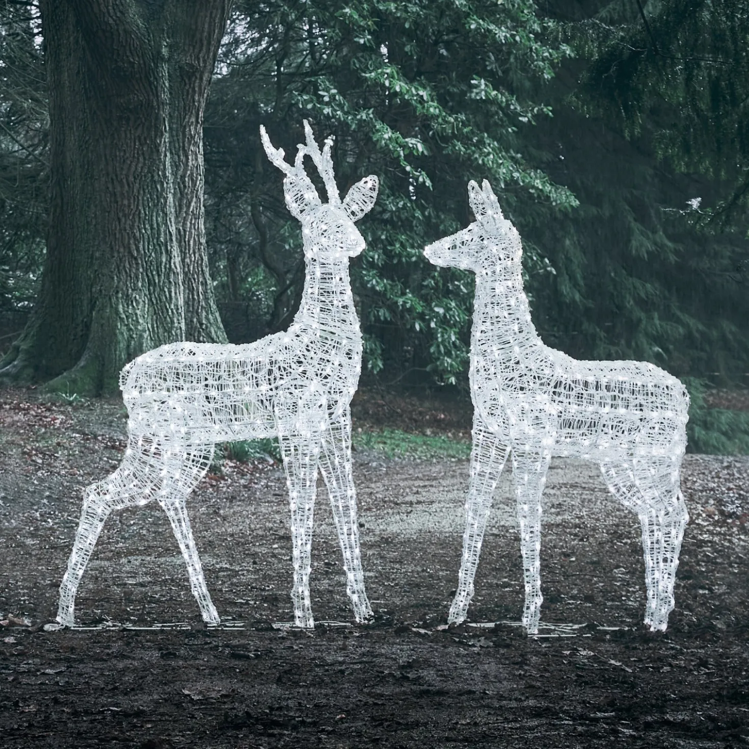 2er Set Bicolor LED-Rentiere Hirsch & Hirschkuh XL Swinsty