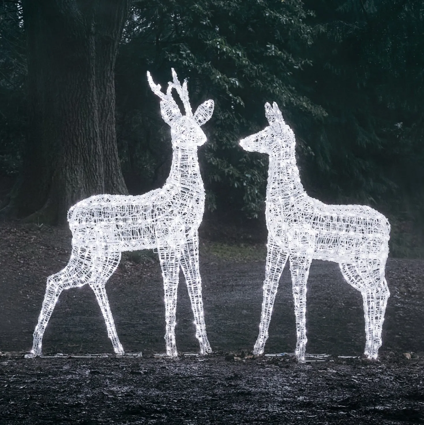 2er Set Bicolor LED-Rentiere Hirsch & Hirschkuh XL Swinsty