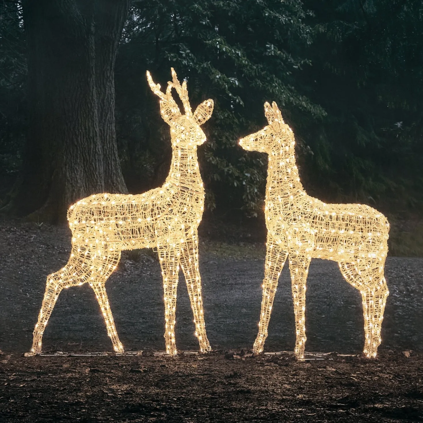 2er Set Bicolor LED-Rentiere Hirsch & Hirschkuh XL Swinsty