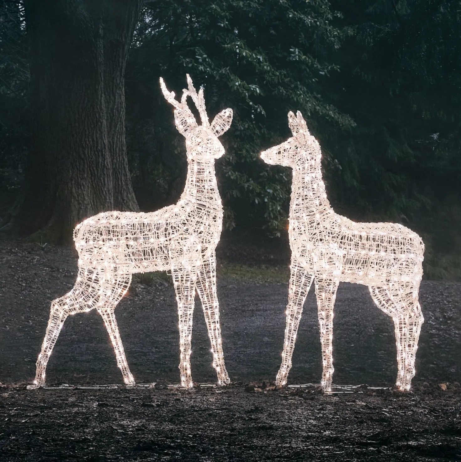 2er Set Bicolor LED-Rentiere Hirsch & Hirschkuh XL Swinsty