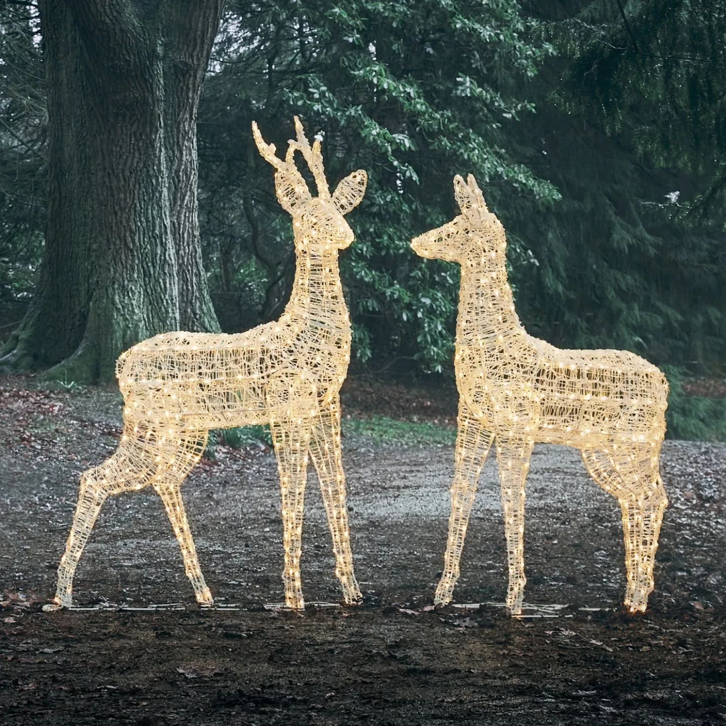 2er Set Bicolor LED-Rentiere Hirsch & Hirschkuh XL Swinsty