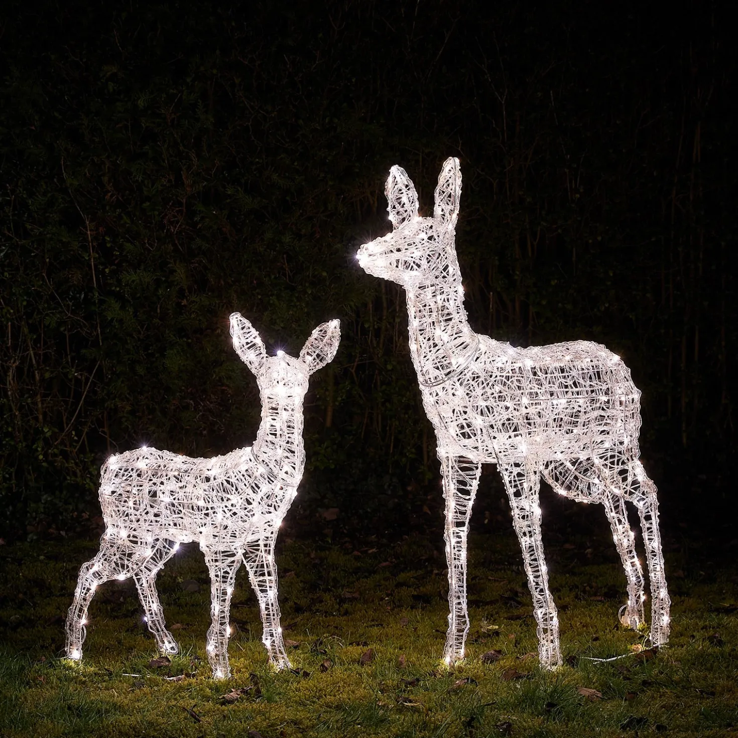2er Set Bicolor LED-Rentiere Hirschkuh & Rehkitz L Swinsty