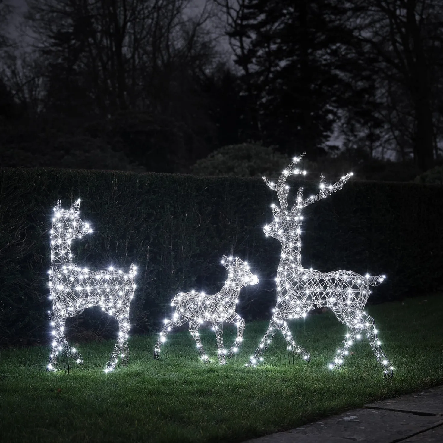 3er Set LED-Rentierfamilie L Studley