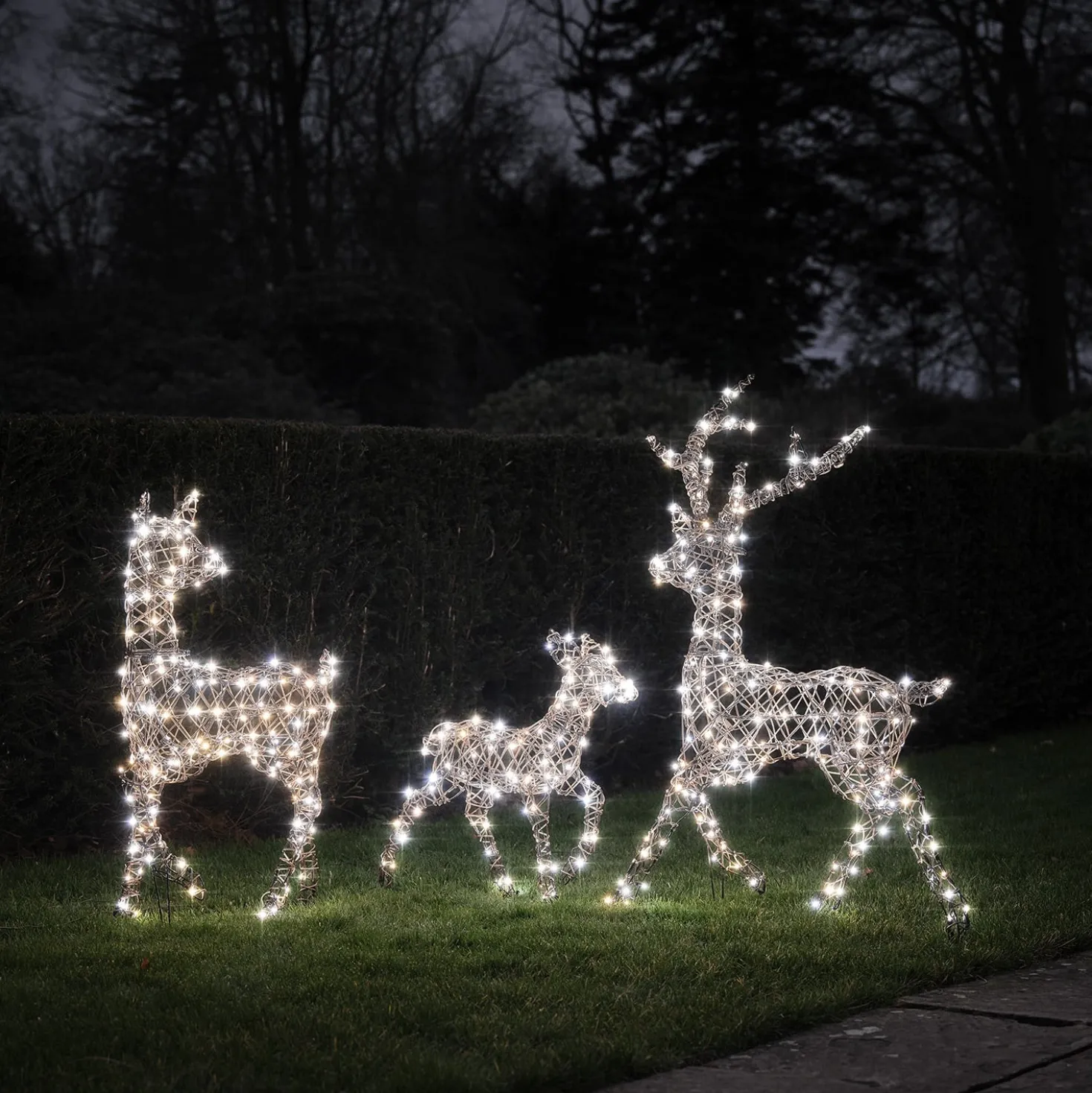 3er Set LED-Rentierfamilie L Studley