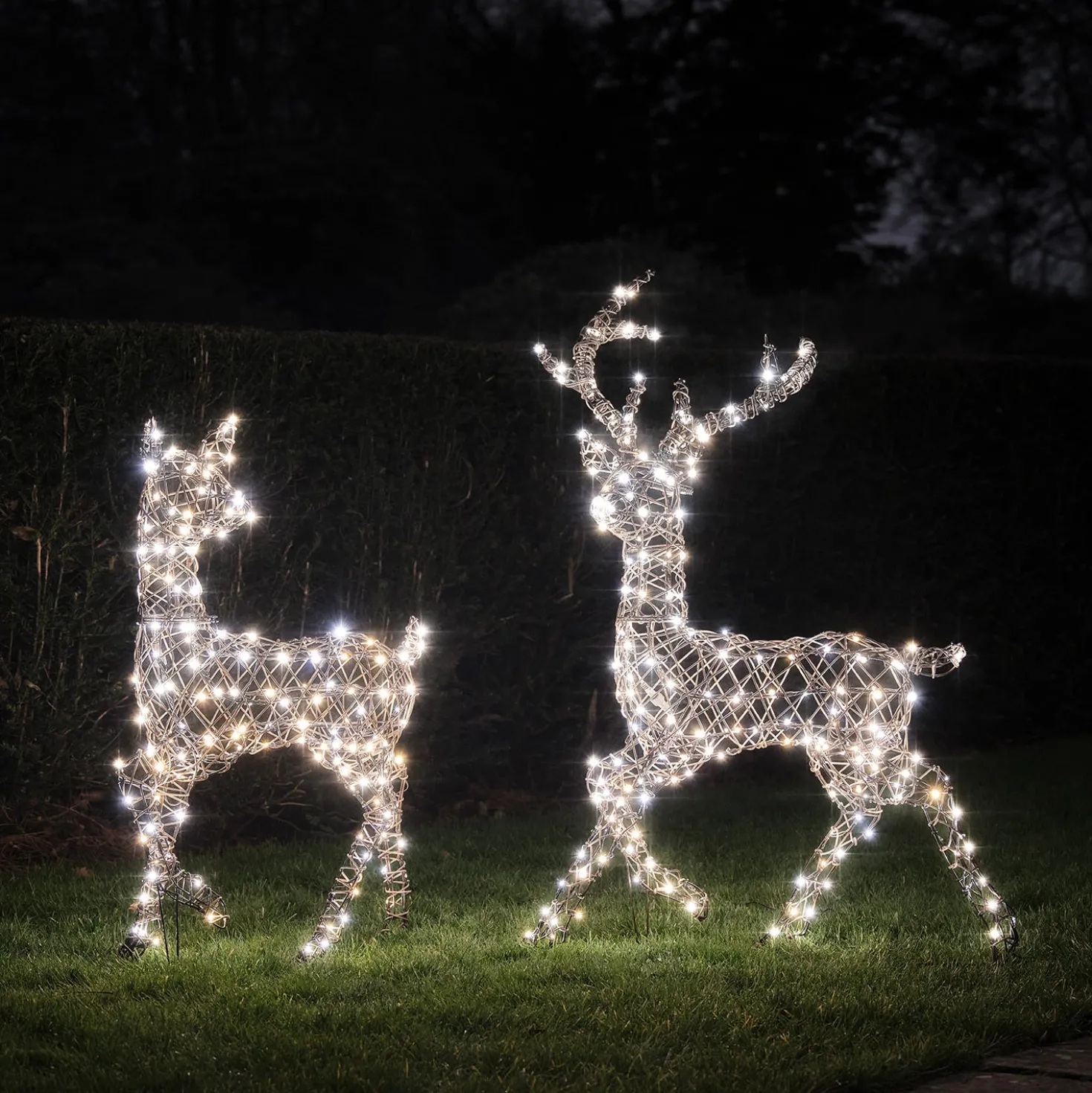 2er Set LED-Rentier Hirsch & Hirschkuh L Studley