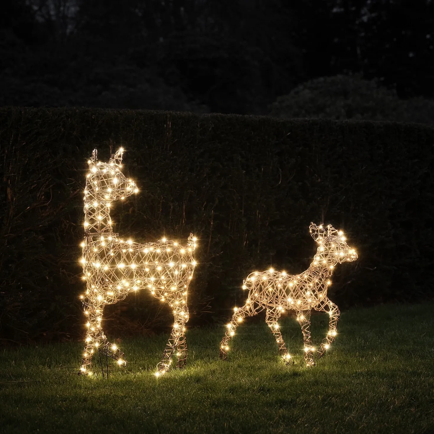 2er Set LED-Rentier Hirschkuh & Rehkitz L Studley
