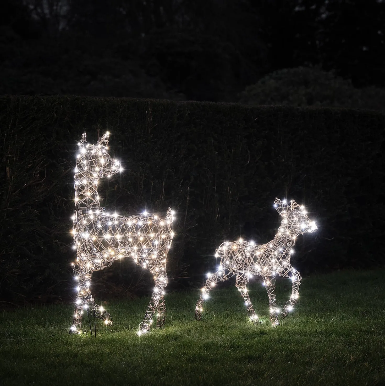 2er Set LED-Rentier Hirschkuh & Rehkitz L Studley