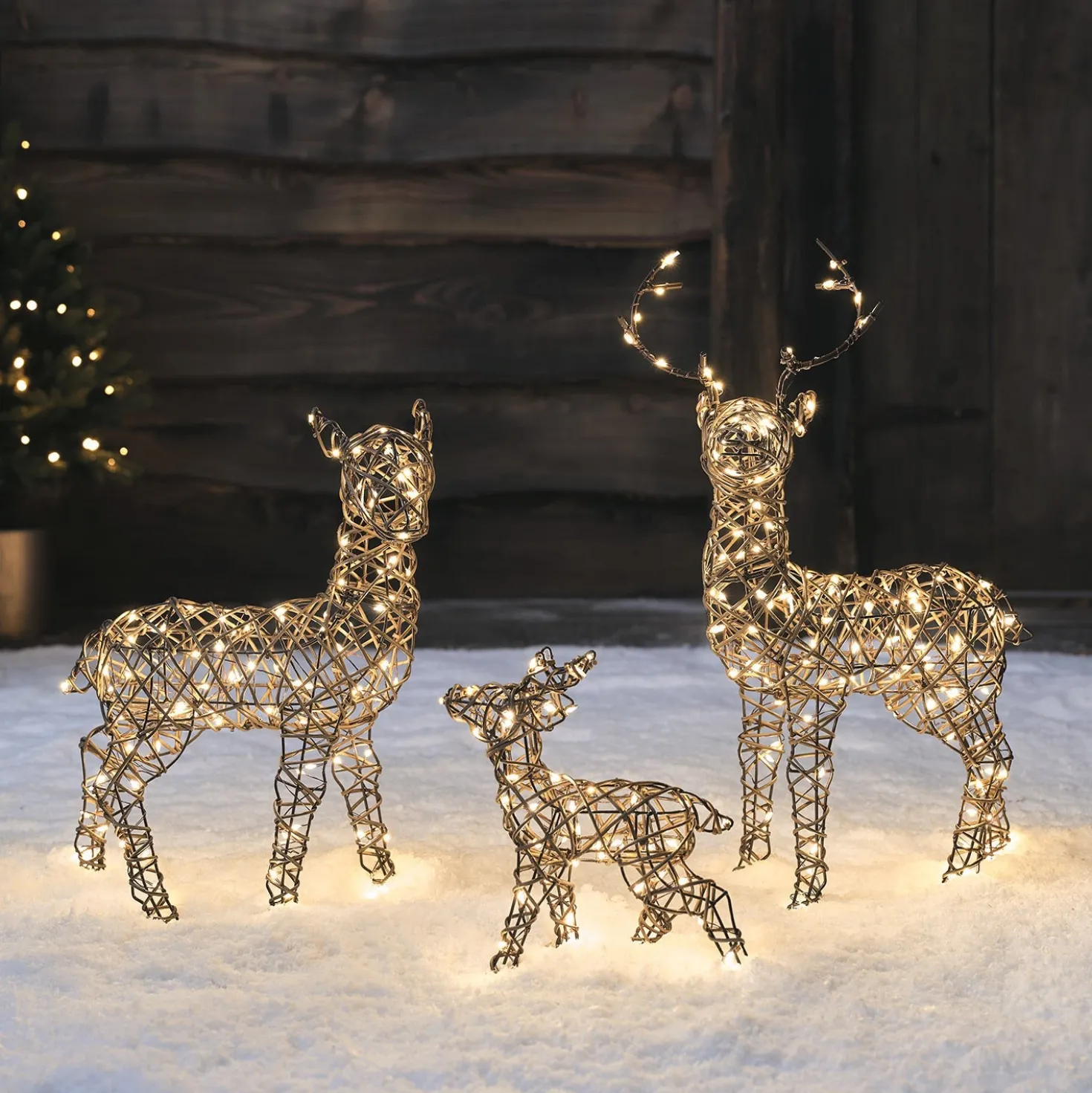 3er Set Mini LED-Rentierfamilie Studley