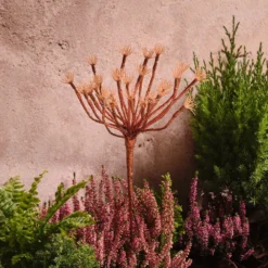 3er Set Solar-Gartenstecker warmweiße Pusteblume