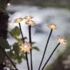 8er Set Solar Stableuchten Blumen