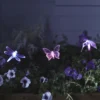 3er Set Solar Stableuchten Libelle, Schmetterling und Kolibri