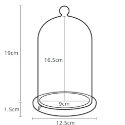 Glasglocke mit Holzteller 20,5cm