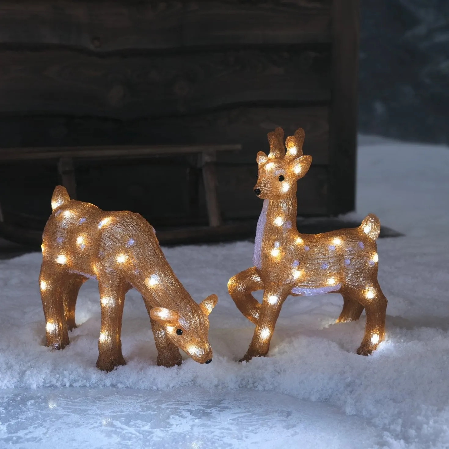 Grasendes Acryl LED-Rentier Hirschkuh