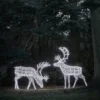 Großes Arkendale Bicolor LED Rentier Duo
