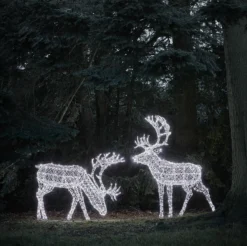Großes Arkendale Bicolor LED Rentier Duo