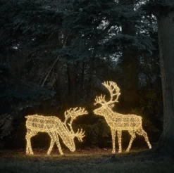 Großes Arkendale Bicolor LED Rentier Duo