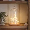 Halloween-Set: Glaskuppel mit LED Fledermaus-Lichterkette