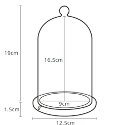 Halloween-Set: Glaskuppel mit LED Fledermaus-Lichterkette