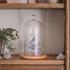 Halloween-Set: Glaskuppel mit LED Fledermaus-Lichterkette